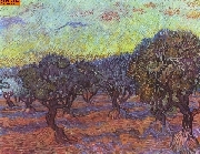 Olivenhain nach van Gogh